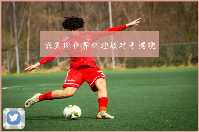 俄罗斯世界杯迎战对手揭晓