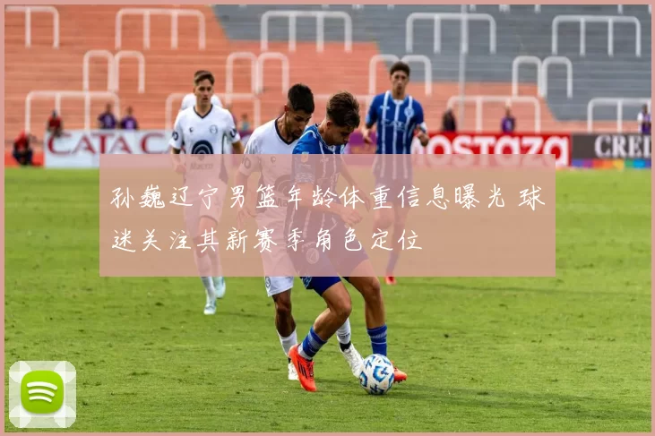 孙巍辽宁男篮年龄体重信息曝光 球迷关注其新赛季角色定位