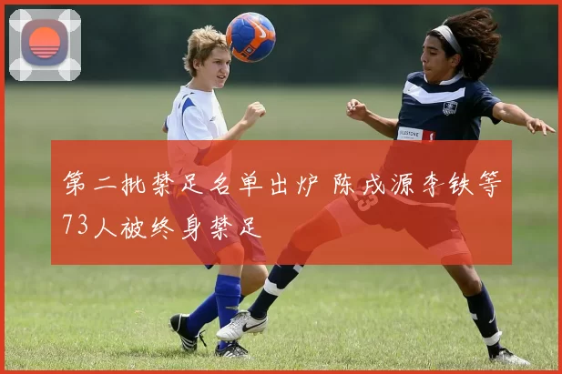 第二批禁足名单出炉 陈戌源李铁等73人被终身禁足