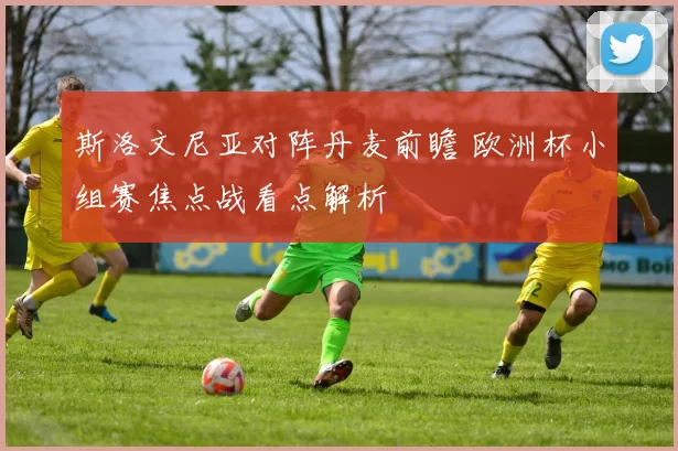 斯洛文尼亚对阵丹麦前瞻 欧洲杯小组赛焦点战看点解析