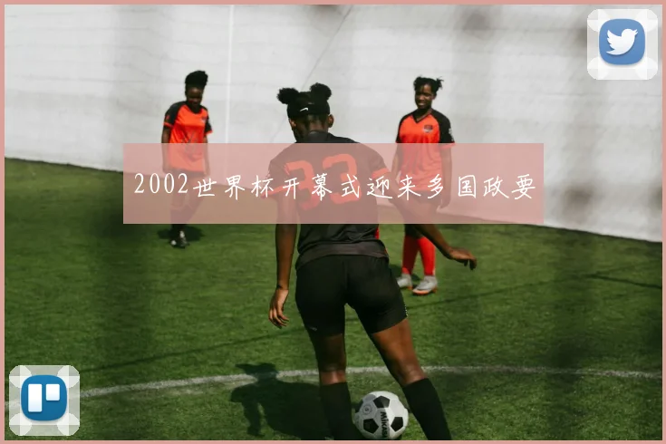 2002世界杯开幕式迎来多国政要