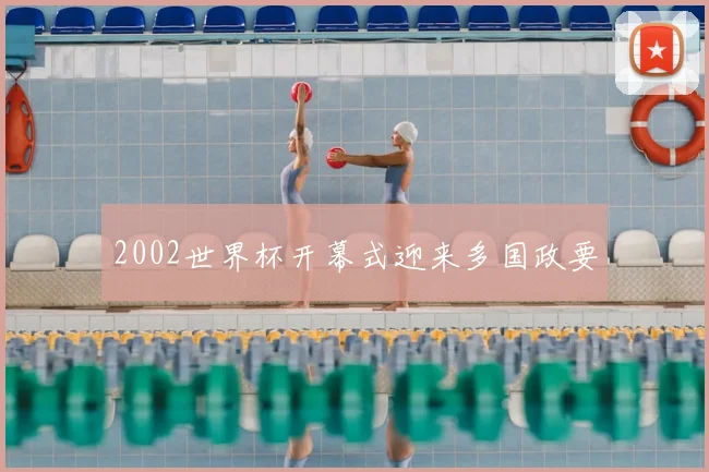2002世界杯开幕式迎来多国政要