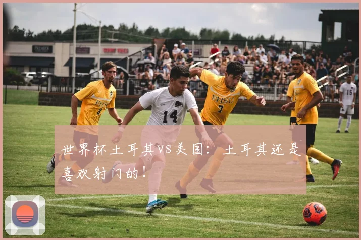 世界杯土耳其vs美国：土耳其还是喜欢射门的！