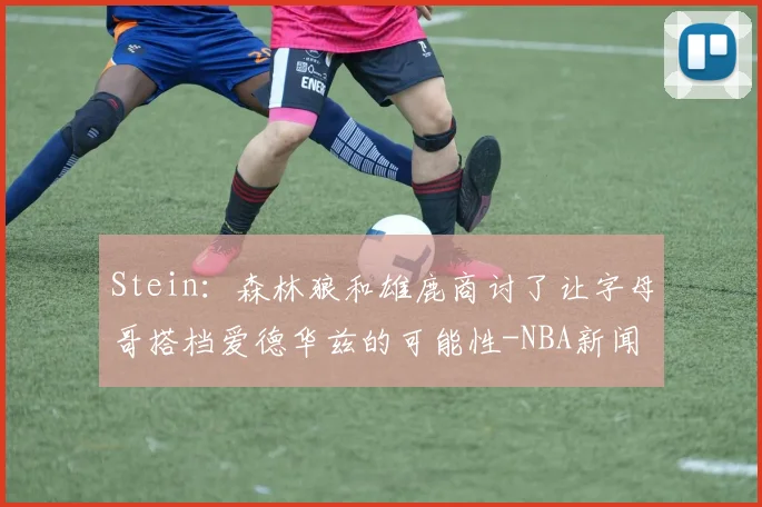 Stein：森林狼和雄鹿商讨了让字母哥搭档爱德华兹的可能性-NBA新闻